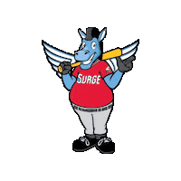 WindSurgeICT baseball aa windy minor league baseball Sticker