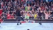 Wwe Wrestler GIF by USA Network