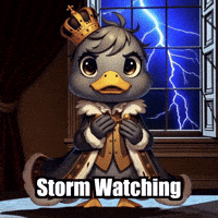Weather Thunderstorm GIF by sirduckbeth