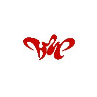 세븐틴 Warning Sticker