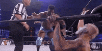Aew On Tnt Darby Allin GIF by All Elite Wrestling on TNT