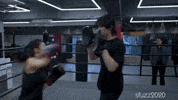 Fight Boxing GIF