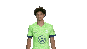 In Love Football Sticker by VfL Wolfsburg