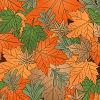 Its Fall GIF by Magic Eden