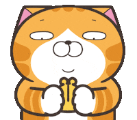 Cat Money Sticker by MochiDad