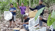 animalsasia indonesia flight animalsasia birdrelease GIF