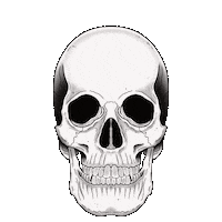 Darkside Sticker by DarkSide® Books