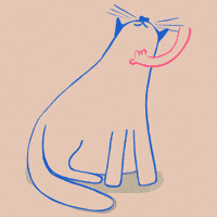 You Make Me Happy Cat GIF