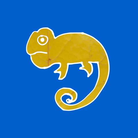 psychodelic cameleon