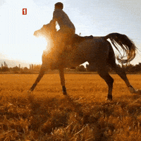 Gear Up Horseback Riding GIF by TRT