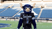 Big Blue No GIF by Utah State University