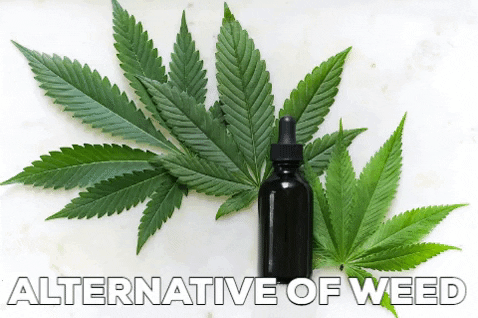 patrickdavicksrt giphygifmaker weed alternatives GIF