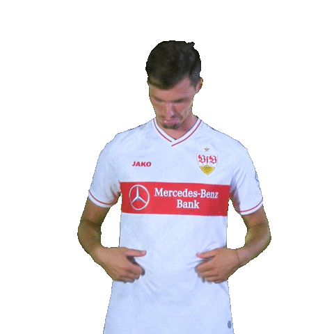 Jako Stenzel Sticker by VfB Stuttgart