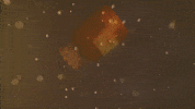 Angry Alternative Medicine GIF