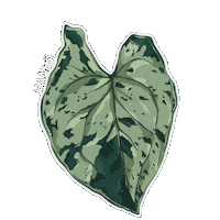 Urban Jungle Sticker by Hankō