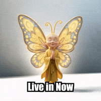 Life Breath GIF by BuddhaFlyJourney