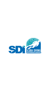 Education Training Sticker by Scuba Diving International
