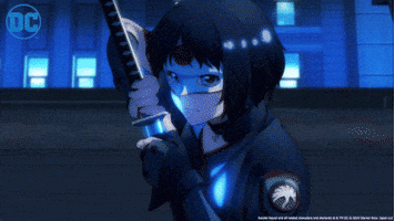 Suicide Squad Fight GIF by DC