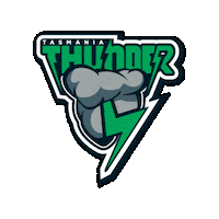 Nyc Thunder Sticker by Touch Football Australia