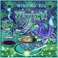 Wonderful Day Peacocks GIF