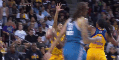 game 3 basketball GIF by WNBA