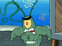 season 5 episode 6 GIF by SpongeBob SquarePants