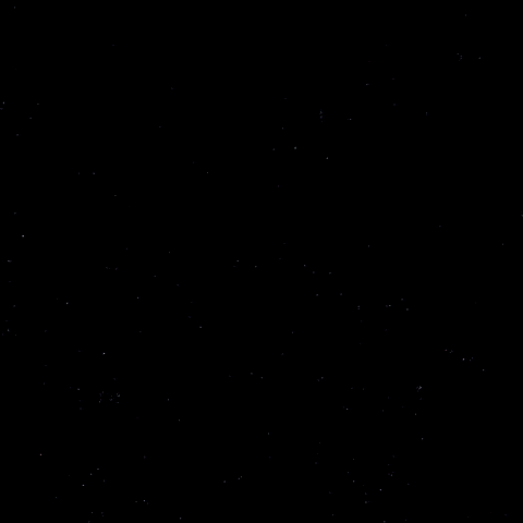 Goal Hockey GIF by Eisbären Berlin