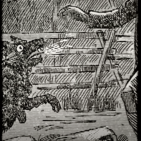 Halloween Haunting GIF by PBS Digital Studios