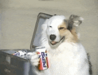 fuzzyghost dog 80s vhs doggo GIF