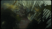 alex aiono mist GIF by Sammi Sanchez