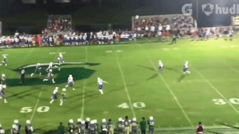 bson1011 giphygifmaker GIF