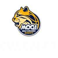 mogibasquete basketball basquete esportes mogi Sticker