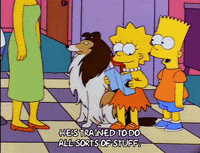 bart simpson episode 20 GIF