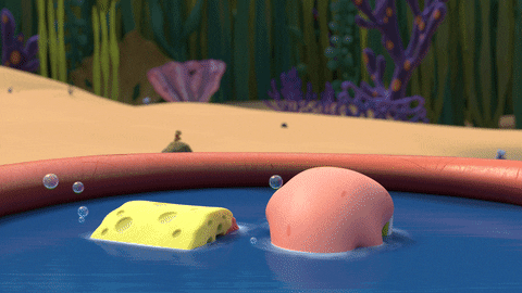 Patrick Star Nickelodeon GIF by SpongeBob SquarePants