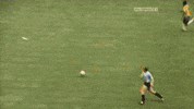 pele GIF