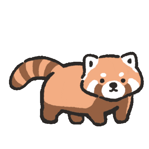 NieBuu giphyupload panda red panda threaten Sticker