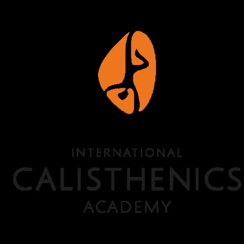 calisthenics-academy giphygifmaker calisthenics calisthenicsacademy internationalcalisthenics GIF