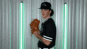 Baseball Hawks GIF by RiverHawk Sports