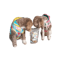 Dog Treats Sticker by Geekster Pets