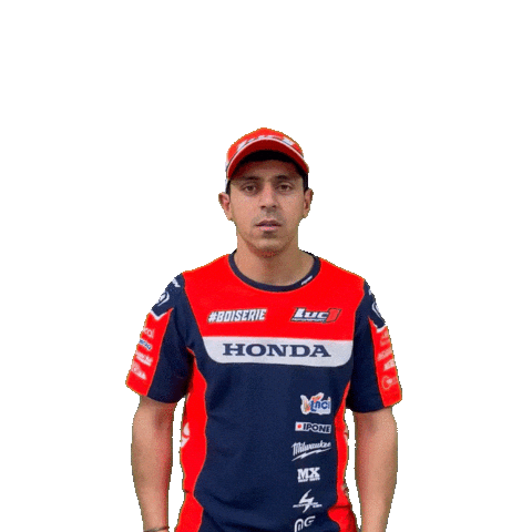 Honda Top Sticker by Luc1