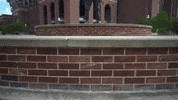 Texas Am Statue GIF by Texas A&M University