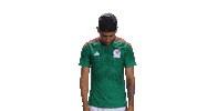 World Cup Futbol Sticker by MiSelecciónMX