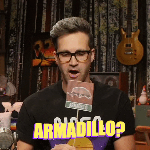 Confused Armadillo GIF by Rhett and Link