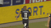 Celebration Sturmgraz GIF by SK Sturm