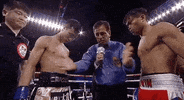 toprank boxing fighting espn fighters GIF