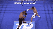 toprank fight boxing fighting espn GIF