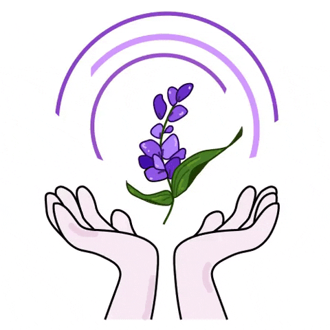 purplizer_purpleday  GIF