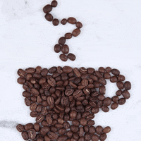 need coffee GIF by Mighty Oak