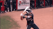 usssapride softball fastpitch usssa npf GIF