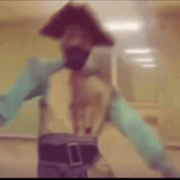 Still Life Pirate GIF
